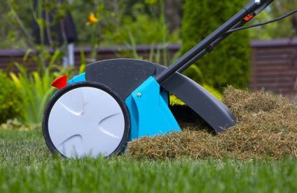 RT Maehroboter installieren Vertikutierer 20 24 717x467 Vertikutierer mit Gras