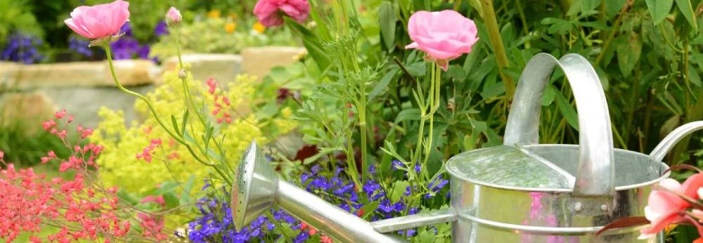 Silberne Gießkanne in einem bunten Blumenbeet.