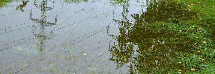 Eine große Wasserpfütze auf einer Wiese spiegelt Strommasten und Bäume wider.