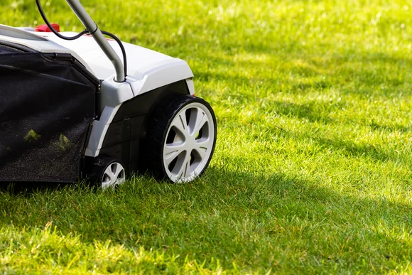 Vertikutierer auf grünem Rasen