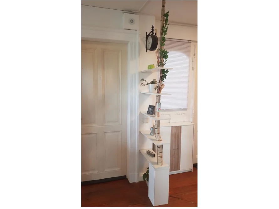 Regal mit Birkenstamm