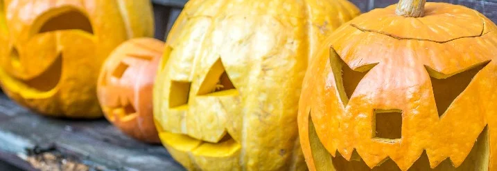 Geschnitzte Kürbisse auf Bank