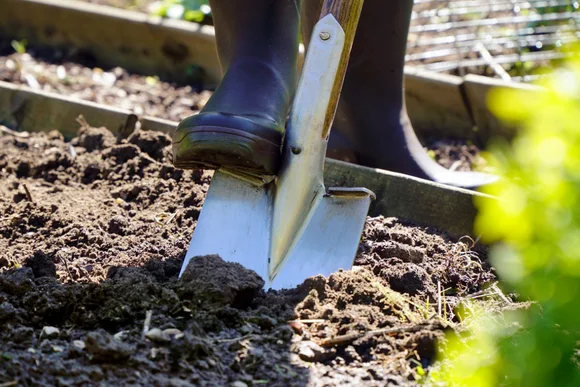 Person gräbt mit Spaten Erde um