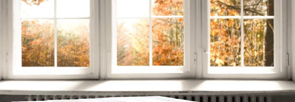 Fenster mit Blick auf Herbstlaub