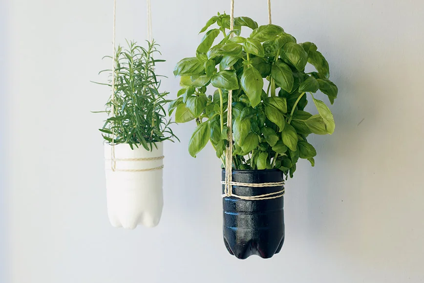 Zwei hängende Kräutertöpfe