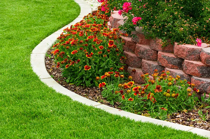 Geschwungene Rasenkante trennt Rasen von einem Blumenbeet mit Stützmauer.