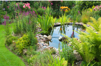 RT Bienenfreundlicher Garten Teich 20 24 717x467 Garten mit Teich