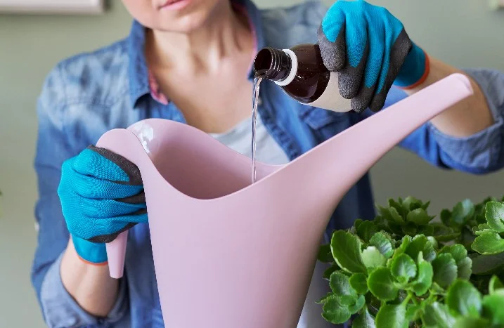 Person gießt Dünger in Gießkanne