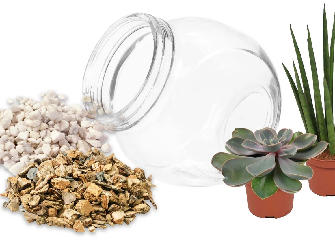 Materialien für ein Sukkulentenglas