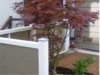 Gartenzaun mit Ahornbaum