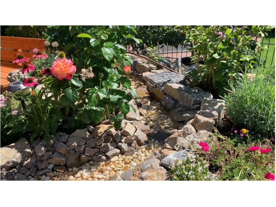 Gartenbach mit Steinen und Blumen