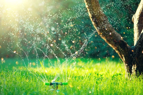 Rasensprenger bewässert Wiese