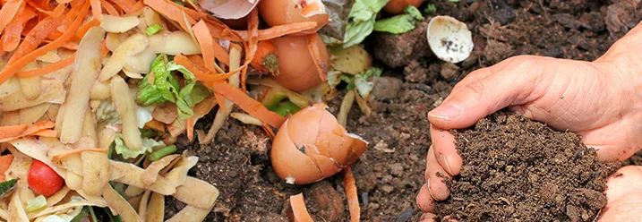 Hände halten Kompost über einem Komposthaufen.