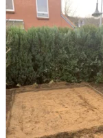 Sandfläche vor einer Hecke