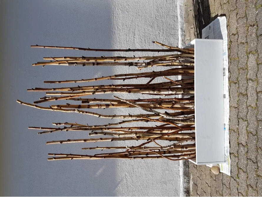 Birkenäste an einem Holzkasten