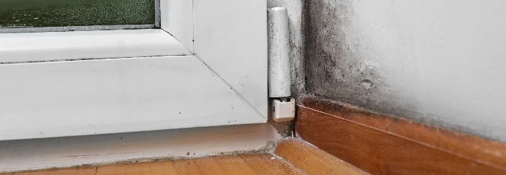 Schimmel an Fenster und Wand