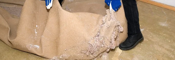 Zwei Personen entfernen Teppichboden.