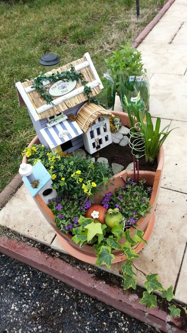 Miniatur-Garten in einem zerbrochenen Topf
