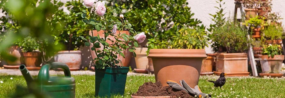 Blumentopf, Gießkanne und Gartenhandschuhe auf Rasen