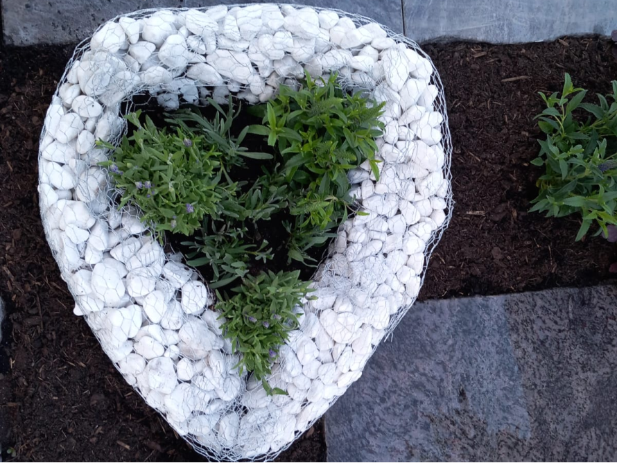 Herzförmiges Kiesbeet mit Lavendel