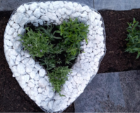 Herzförmiges Kiesbeet mit Lavendel