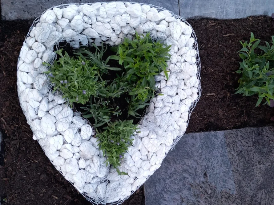 Herzförmiges Kiesbeet mit Lavendel