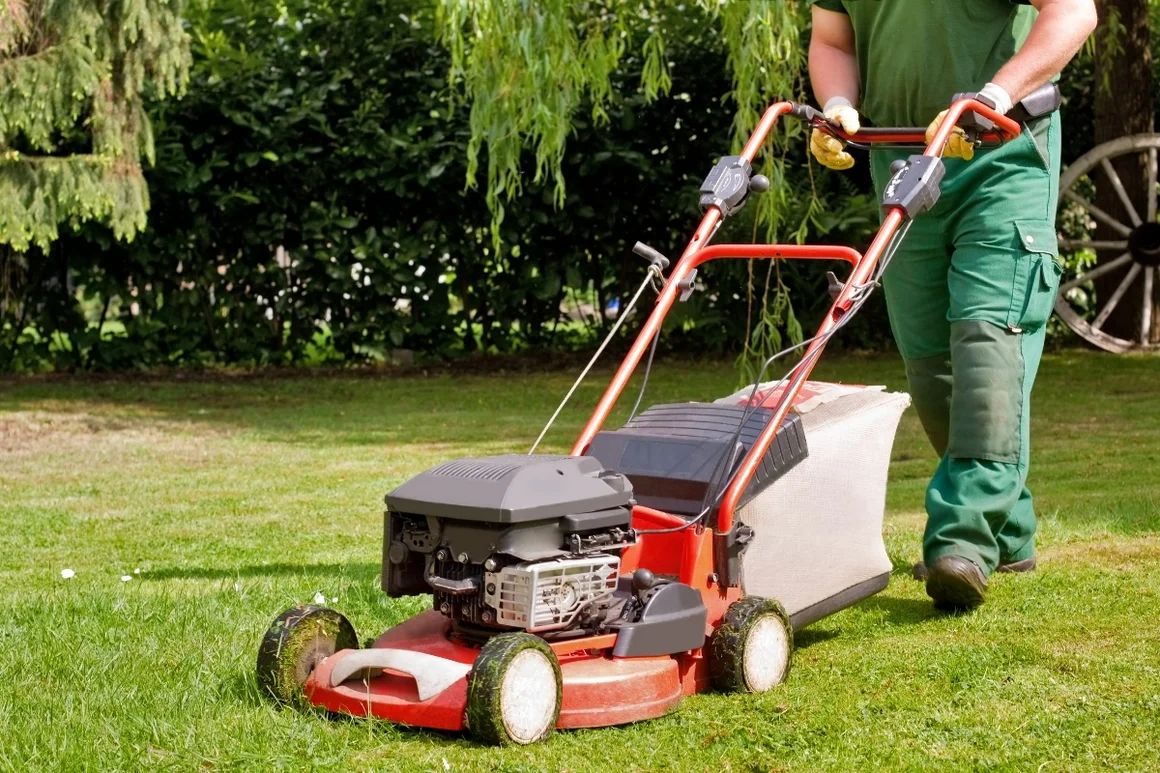 Person mäht Rasen mit Rasenmäher