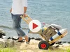 Person zieht Bollerwagen am Strand
