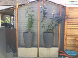 Rankhilfe für Pflanzen in Töpfen