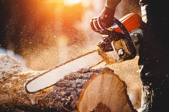 Person sägt Holz mit Kettensäge