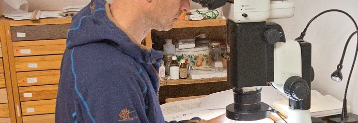 Person betrachtet etwas durch Mikroskop