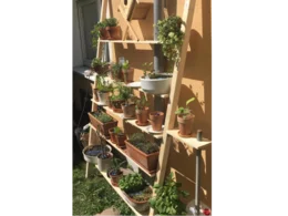 Ein hölzernes Pflanzenregal mit mehreren Ebenen voller Töpfe
