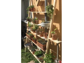 Ein hölzernes Pflanzenregal mit mehreren Ebenen voller Töpfe