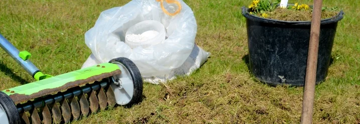 Rasenlüfter, Eimer und Rechen auf Rasen