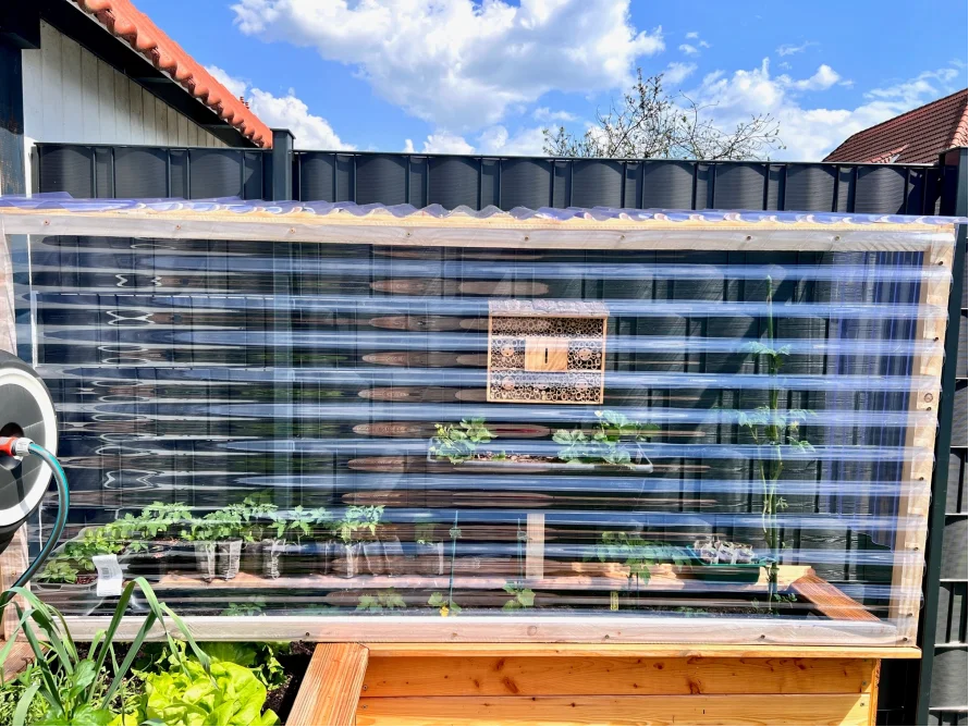 Kleines Gewächshaus mit Tomatenpflanzen