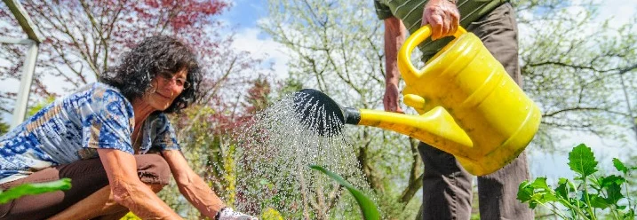 Zwei Personen beim Gießen von Jungpflanzen mit einer Gießkanne