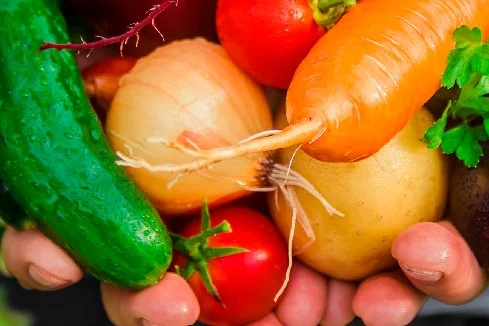 Gemüse in Händen