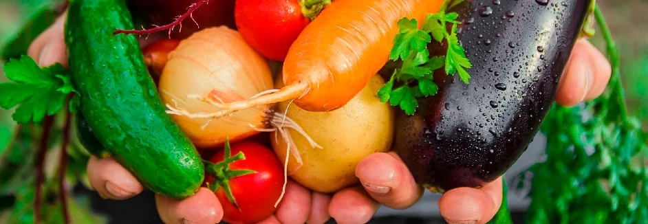 Gemüse in Händen