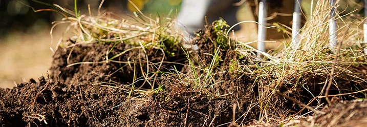 Boden umgraben mit Grabegabel
