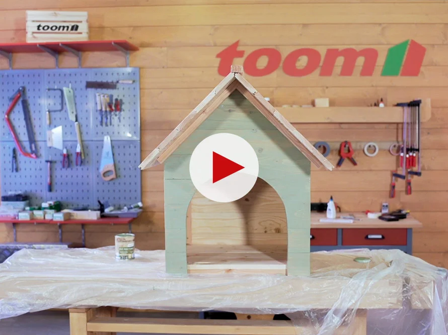 Unbehandeltes Hundehaus