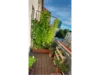 Ein sonniger Balkon mit vielen Pflanzen