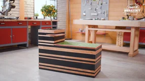 Blumenbank mit Pflanze