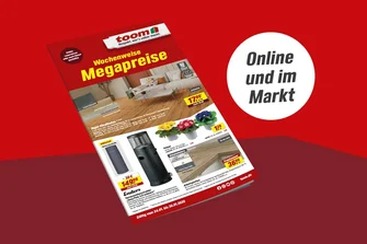 Unsere aktuellen Angebote