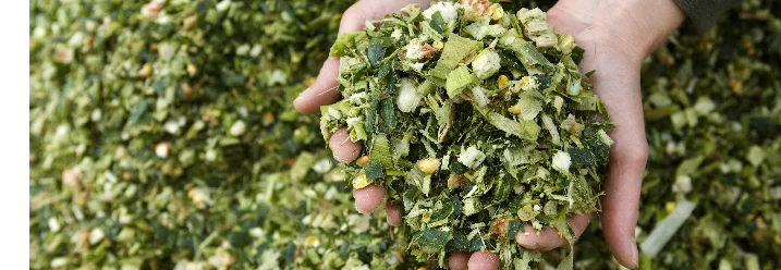 Hände halten gehäckseltes Schnittgut