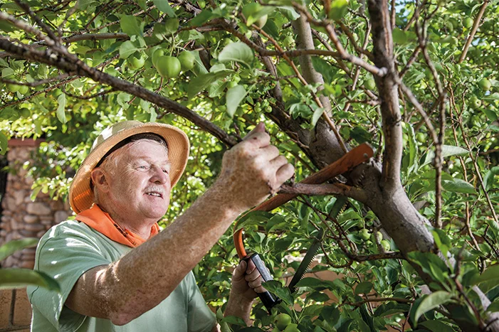 Gartenhaus-Rohbau aus Holz