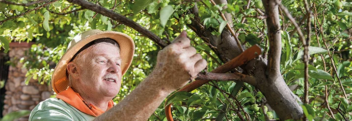 Gartenhaus-Rohbau aus Holz
