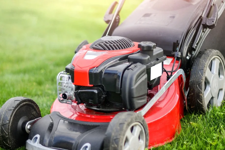 Roter Rasenmäher auf grünem Rasen