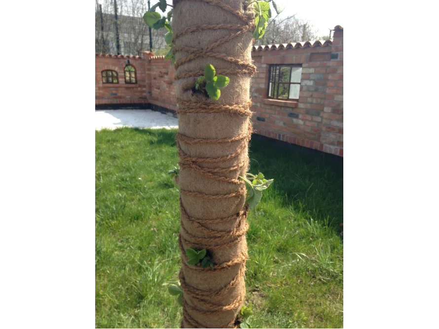 Baumstamm mit Jute umwickelt