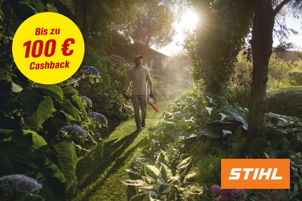 Bis zu 100 € Cashback!*