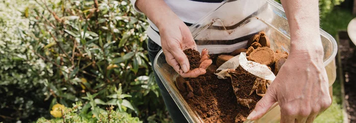 Person hält eine durchsichtige Kiste mit Kaffeesatz in den Händen.